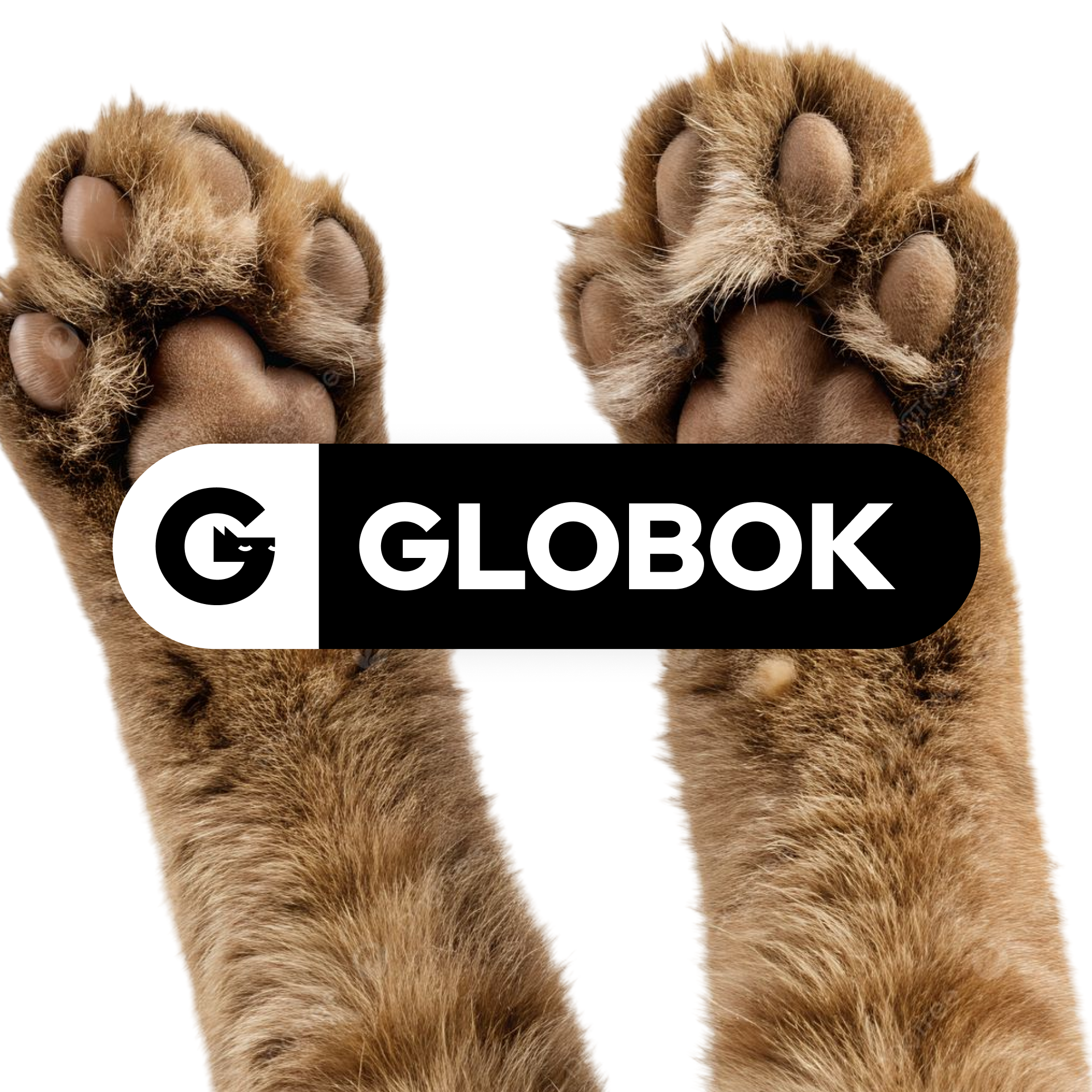 globok